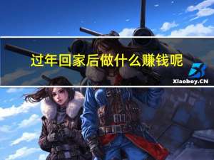 过年回家后做什么赚钱呢