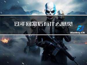 过年回家后有什么感觉作文