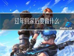 过年回家后要做什么