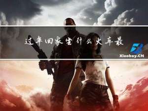 过年回家坐什么火车最安全