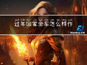 过年回家坐车怎么样作文