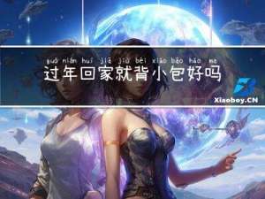 过年回家就背小包好吗