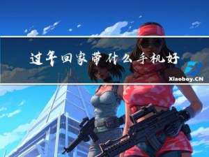 过年回家带什么手机好看