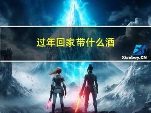 过年回家带什么酒