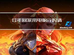 过年回家带电脑行吗请问