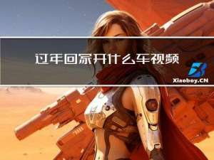 过年回家开什么车视频下载