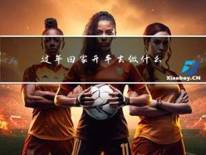 过年回家开车去做什么工作