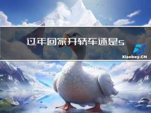 过年回家开轿车还是suv