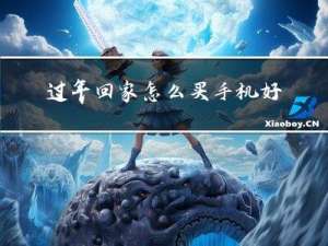 过年回家怎么买手机好