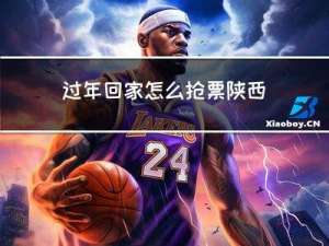 过年回家怎么抢票陕西