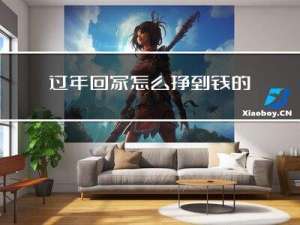 过年回家怎么挣到钱的