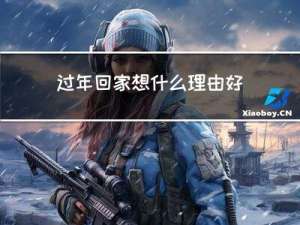 过年回家想什么理由好呢