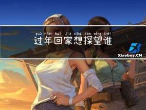 过年回家想探望谁