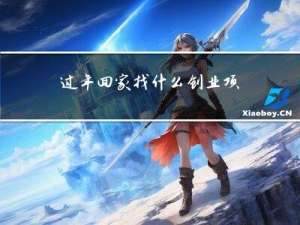 过年回家找什么创业项目