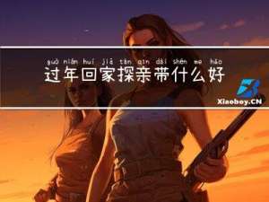 过年回家探亲带什么好玩的