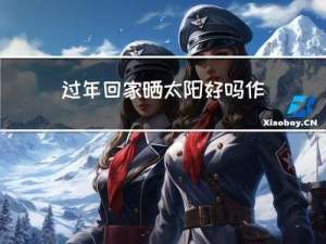 过年回家晒太阳好吗作文