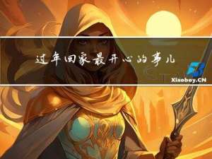 过年回家最开心的事儿作文