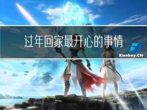 过年回家最开心的事情作文