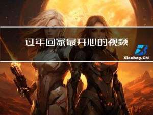 过年回家最开心的视频日记