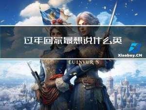 过年回家最想说什么英语