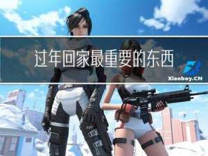 过年回家最重要的东西是