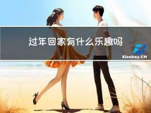 过年回家有什么乐趣吗英语