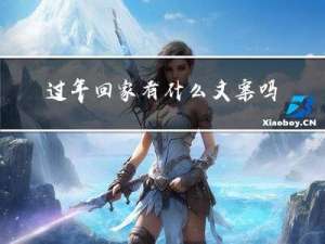 过年回家有什么文案吗