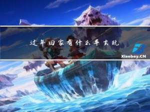 过年回家有什么车去玩