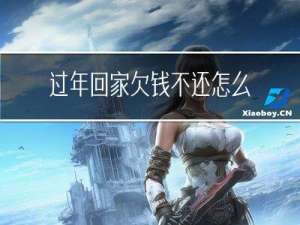 过年回家欠钱不还怎么办