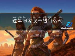 过年回家没带钱什么心情