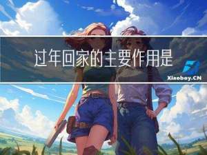 过年回家的主要作用是