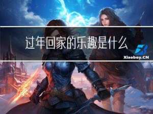 过年回家的乐趣是什么作文