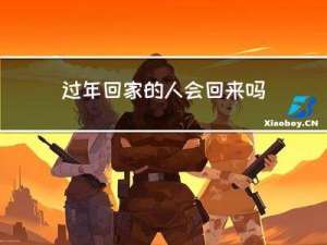过年回家的人会回来吗作文