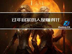 过年回家的人是懂得什么