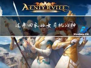 过年回家的女司机的神操作