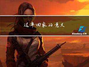 过年回家的意义