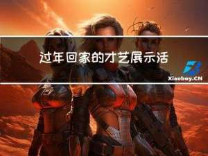 过年回家的才艺展示活动