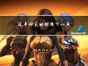 过年回家的时候可以买什么