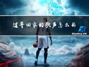 过年回家的歌声怎么形容