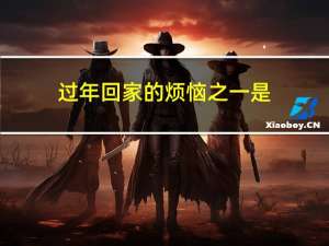 过年回家的烦恼之一是