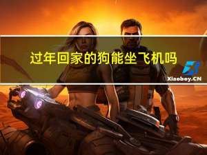 过年回家的狗能坐飞机吗