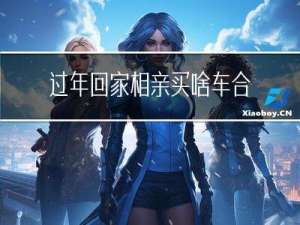 过年回家相亲买啥车合适