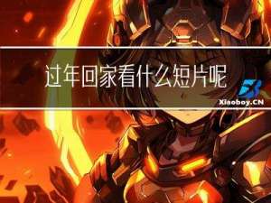 过年回家看什么短片呢