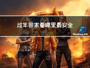 过年回家看哪里最安全作文