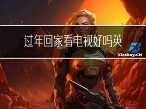 过年回家看电视好吗英文