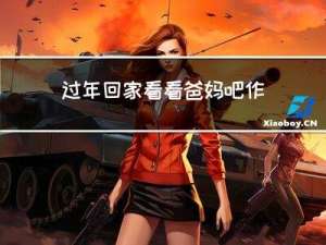 过年回家看看爸妈吧作文
