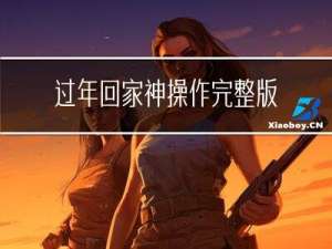 过年回家神操作完整版