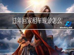 过年回家租车现象怎么写
