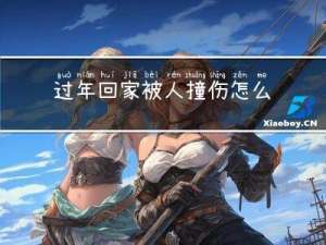 过年回家被人撞伤怎么处理