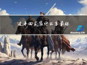 过年回家装什么车最好吉利